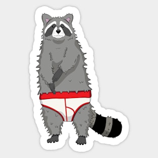 Underwear Raccoon Sticker